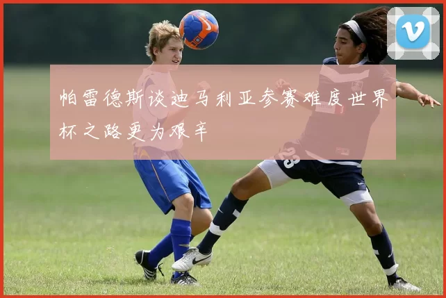帕雷德斯谈迪马利亚参赛难度世界杯之路更为艰辛