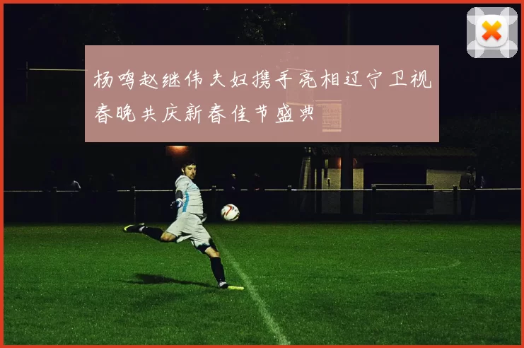 杨鸣赵继伟夫妇携手亮相辽宁卫视春晚共庆新春佳节盛典